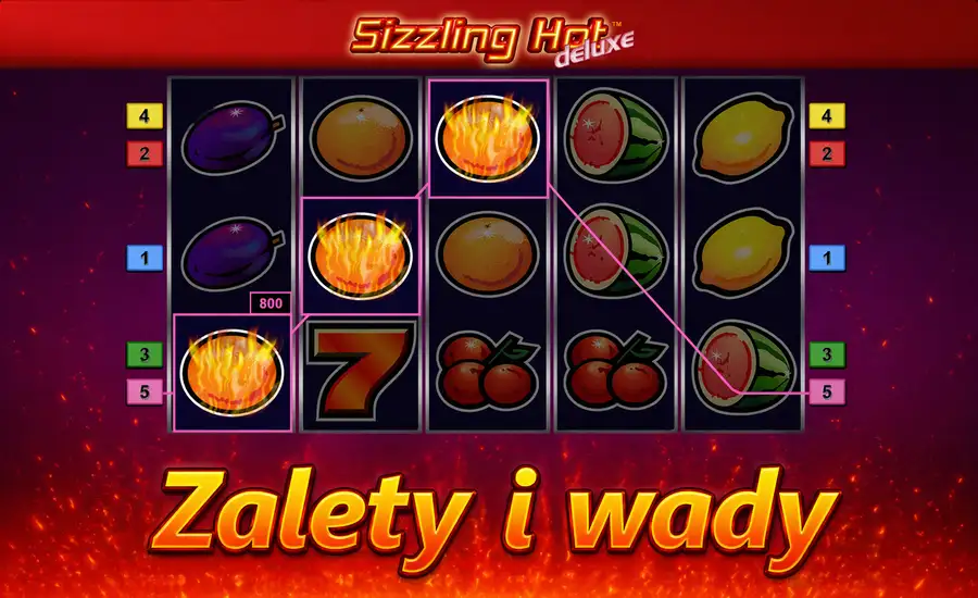 Zalety i wady